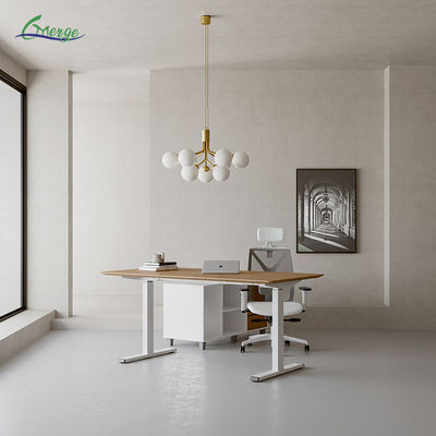 Adjustable Height Stand Up Desk Uplift Standing Desk with 4 Memory Presets and Hassle-free Assemble Video Support