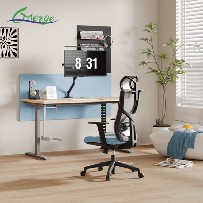 Good price Modern Work Office Desk with Cable Management Uplift Standing Desk 355 Lbs Weight Capacity Modern Style online